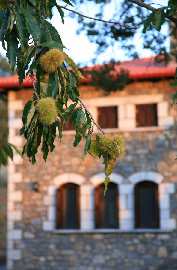 Arhontiko Parnona Karyes Exterior foto